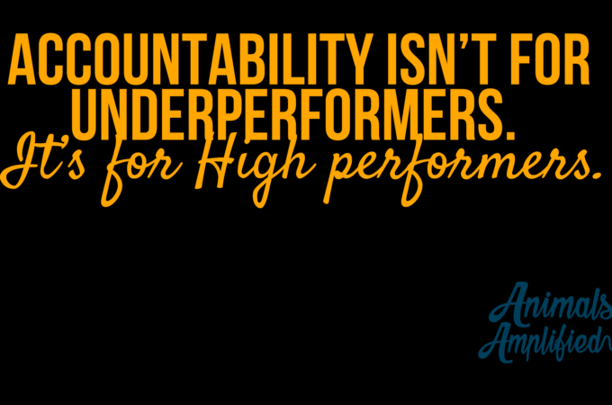 Accountability Isn’t for Underperformers. It’s for High performers. 